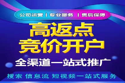 竞价开户优势解析：成功案例对比